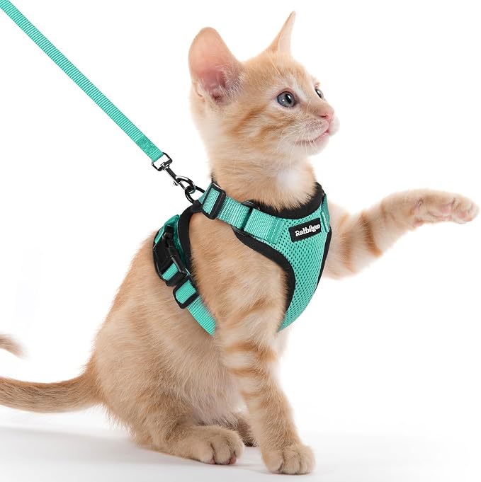 rabbitgoo Cat Harness and Leash by rabbitgoo