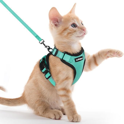 rabbitgoo Cat Harness and Leash by rabbitgoo