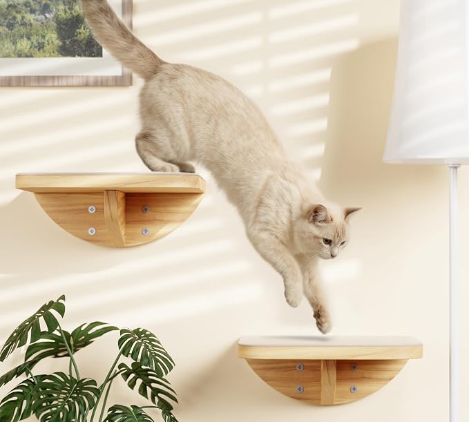 Cat Wall Shelves and Cats Window Perch – Natural Wood 4-Piece Set - Image 9