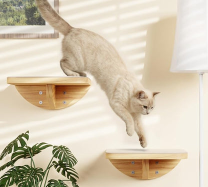 Cat Wall Shelves and Cats Window Perch – Natural Wood 4-Piece Set - Image 9