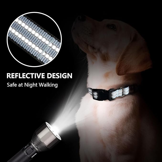 Martingale Dog Collar, Adjustable Nylon Reflective Collar - Image 3