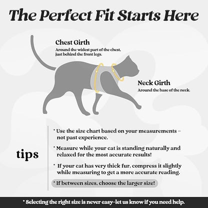 rabbitgoo Cat Harness and Leash Set - Image 2