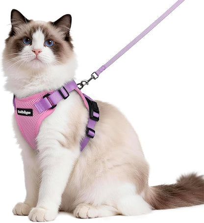 rabbitgoo Cat Harness and Leash by rabbitgoo
