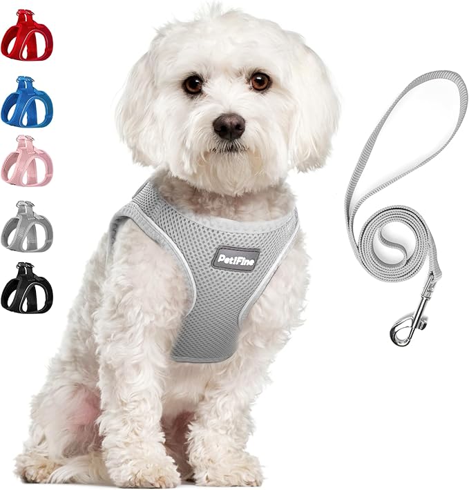 PetiFine Step in Small Dog Harness and Leash Set, Breathable All Weather Air by PetiFine