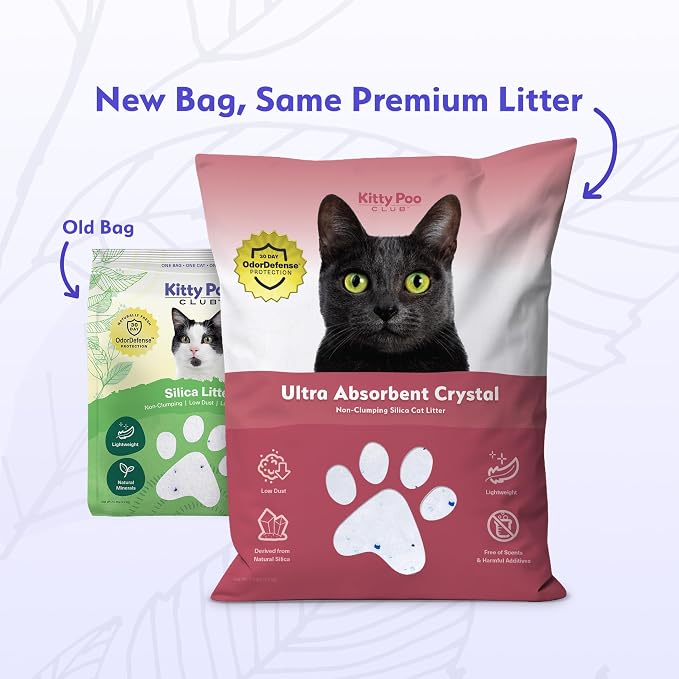 Kitty Poo Club Leakproof Disposable 2-Pack Cat Litter Box - Image 2