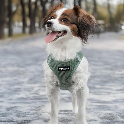 Best Pet Supplies Voyager Step-in Air Harness - Image 7