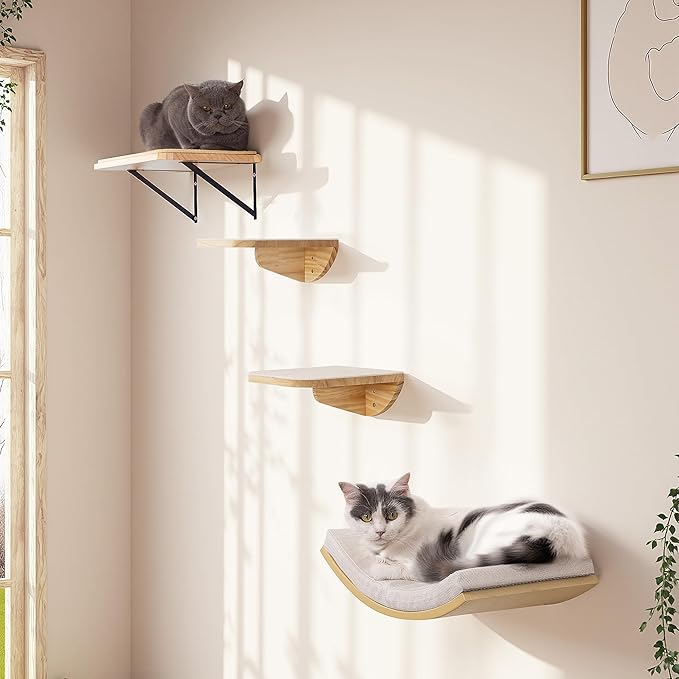 Cat Wall Shelf & Window Perch Combo, Wood Cats Wall Furniture - Image 2