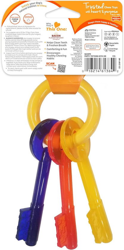 Nylabone Puppy Chew Key Ring Toy, Toys - Image 9