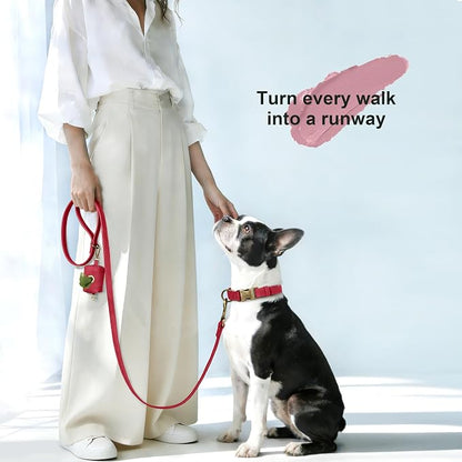 Didog Soft PU Leather Dog Collar, Stylish Quick Released Dog Collars - Image 4