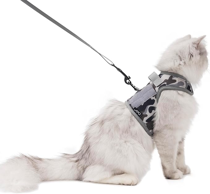 Tactical Kitty Harness and Leash by Yizhi+Miaow