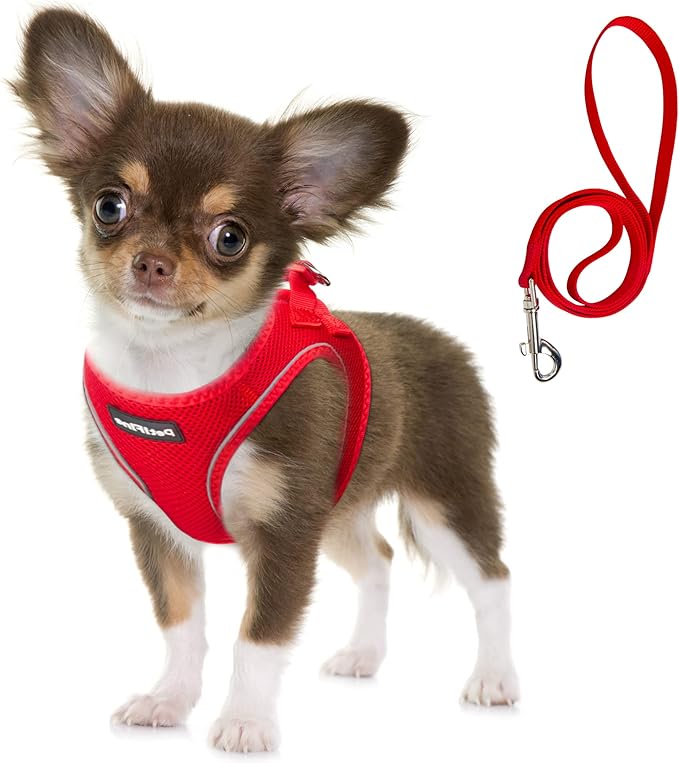 Fida Comfy Dog Harness with Leash, Soft Puppy Vest Escape Proof, Breathable by Fida