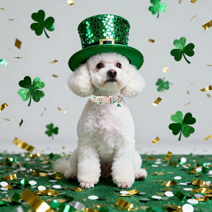 St Patricks Day Dog Collar for Small Dogs - Image 6