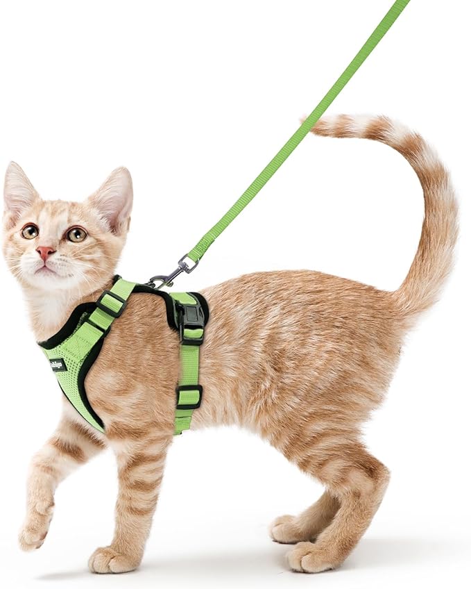 rabbitgoo Cat Harness and Leash by rabbitgoo