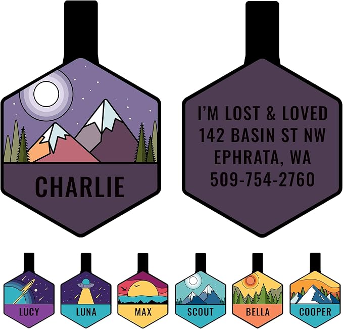 GoTags Silent Dog Tag, Personalized Engraved Hexagon Silicone Dog and Cat Name by GoTags
