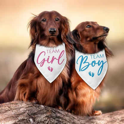 2 Packs Team Girl Team Boy Gender Reveal Baby Announcement Dog Bandana Pet - Image 5