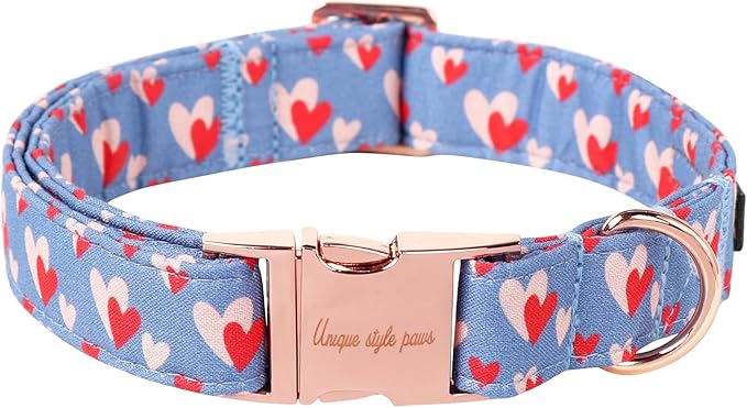 Unique style paws Valentine's Day Dog Collar Metal Buckle Collar Blue Pink Love by Uniquestylepaws