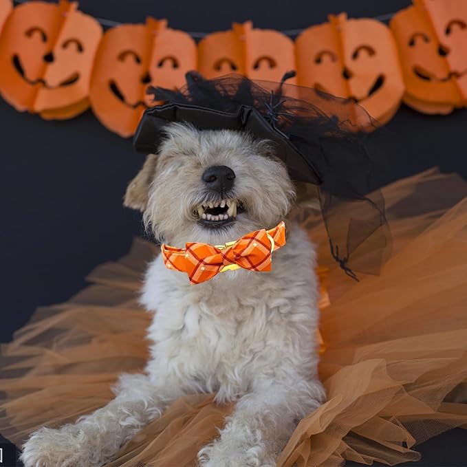 Fall Dog Collar, Pet Collar Bow Orange Plaid Dog Collar Girl Boy Holiday Pet - Image 3