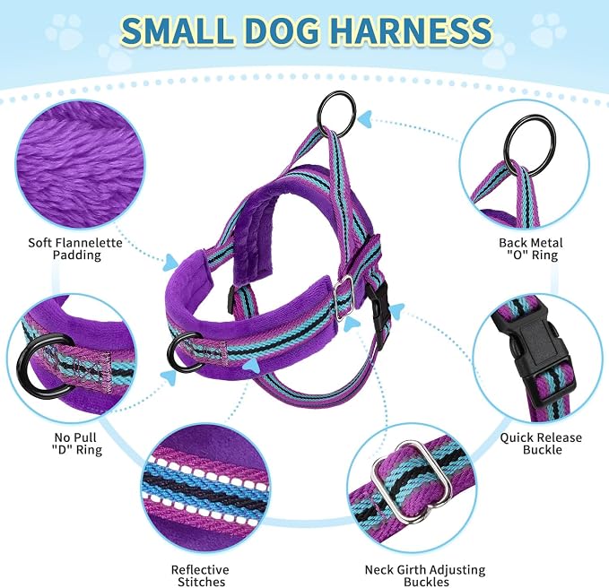 SlowTon No Pull Small Dog Harness and Leash Set, Puppy Soft Vest Harness Neck & - Image 7