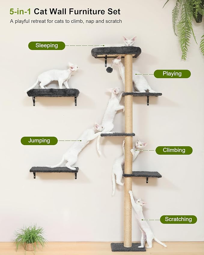 FUKUMARU Cat Wall Shelves, Stable Wall Mounted Cats Furniture Set, Kitten - Image 2