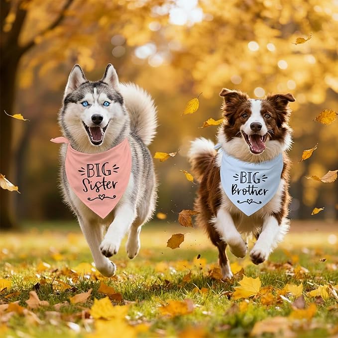 2 Pack Big Sister Big Brother Dog Bandanas, Adjustable Pet Bandana - Image 6