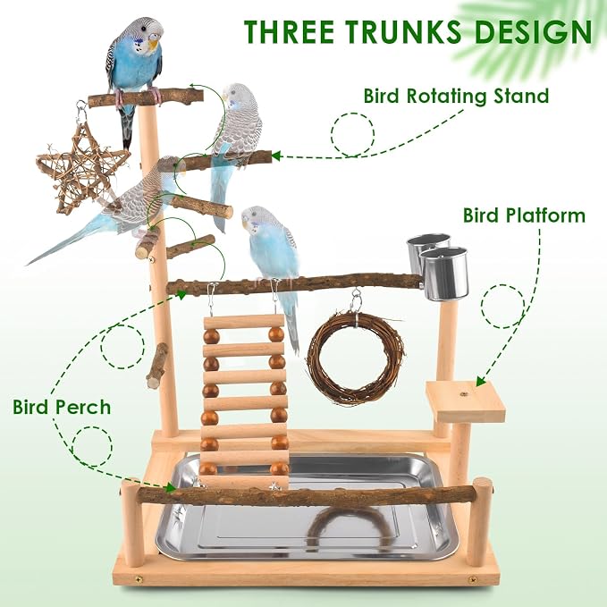 KATUMO Bird Playground - Image 2