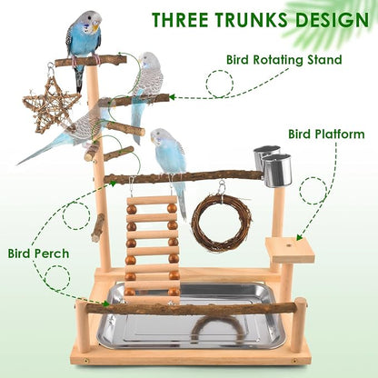 KATUMO Bird Playground - Image 2