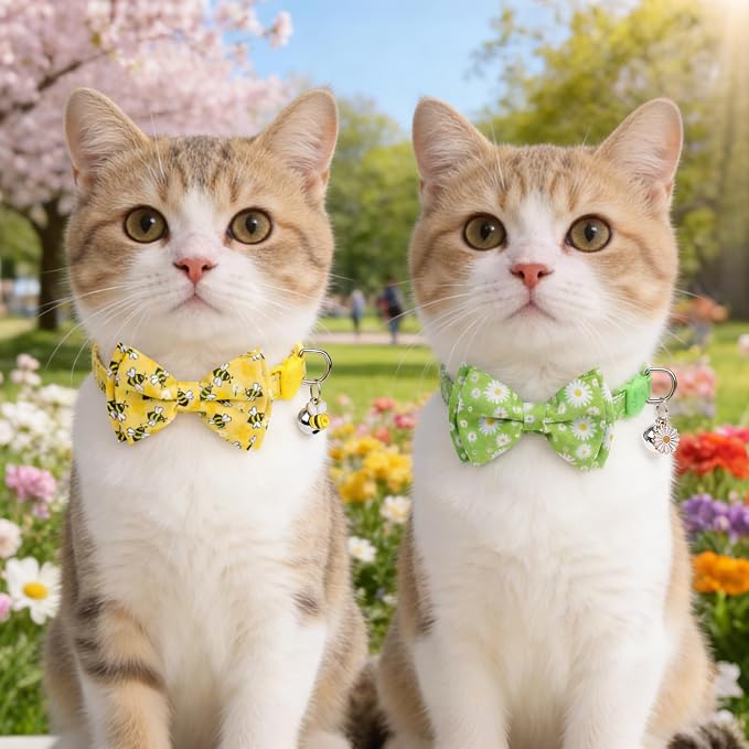 KOOLTAIL Spring Cat Collar - Image 6