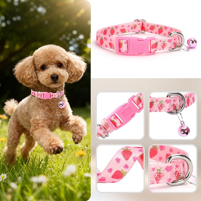 XS Dog Collar with Bell - Image 3