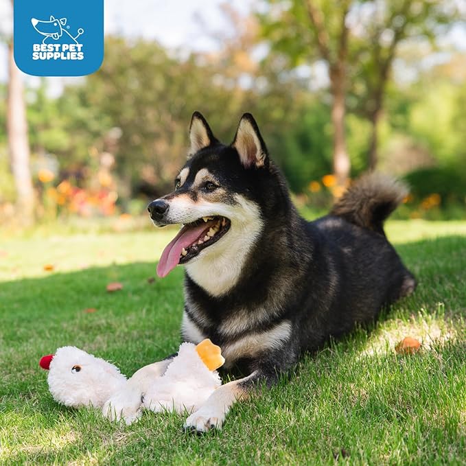 Best Pet Supplies Interactive Squeaky Dog Chew Toy, Ideal Dog Toys - Image 5
