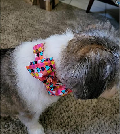 Lionheart glory Valentine's Dog Collar, Dog Collars - Image 5