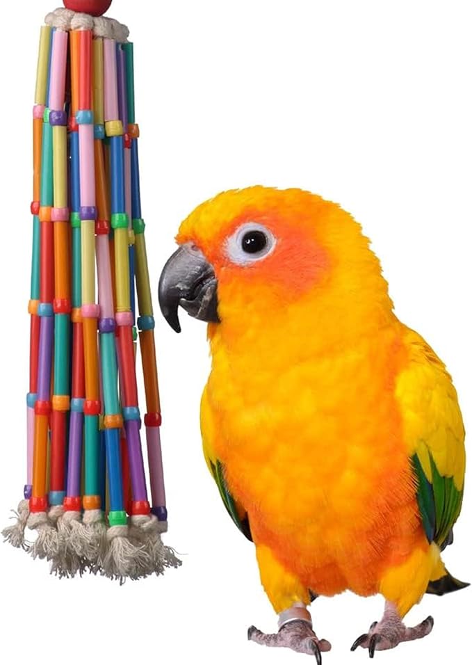 Super Bird Creations SB708 Wind Chimes Bird Toy, Medium Bird Size, 13” x 2” by SuperBirdCreations
