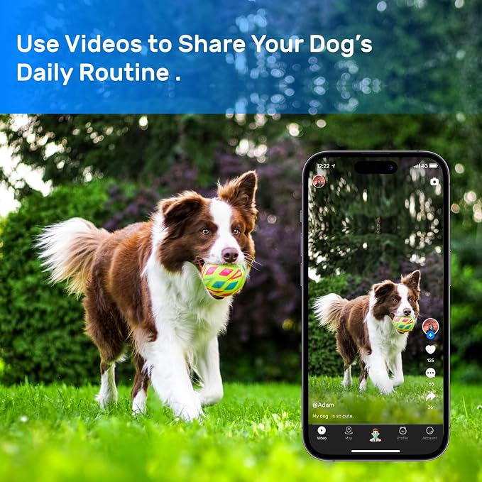 Dog GPS Tracker, Smart Waterproof Tracker - Image 4