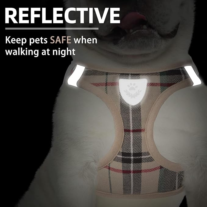 PUPTECK Adjustable Dog Harness Collar and Leash Set Step in No Pull Pet Harness - Image 5