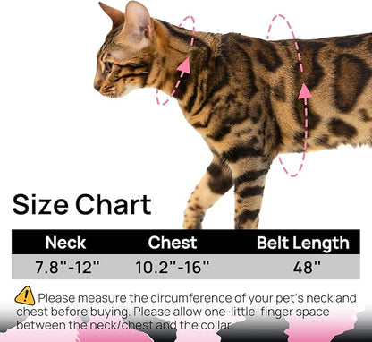 Cat Harness and Leash Set - Image 6