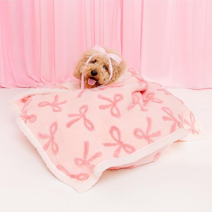 LE SURE Waterproof Puppy Blanket by Lesure