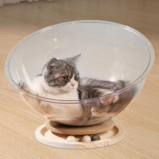 Space Capsule Cat Transparnt Cat House Set - Image 2
