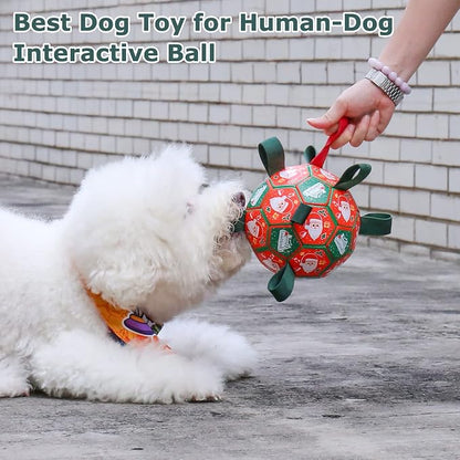 QDAN Christmas Dog Toys: Soccer Ball - Image 4