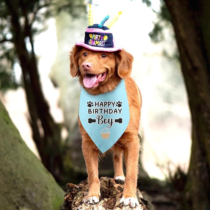 Dog Birthday Bandana Boy Happy Birthday Gifts - Image 5