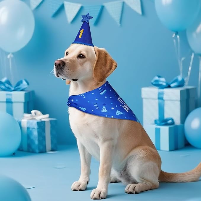 Dog Birthday Party Supplies - Image 7