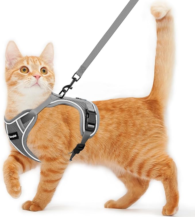 Cat Harness and Leash for Walking Escape Proof Soft Adjustable Cat Leash by Unknown