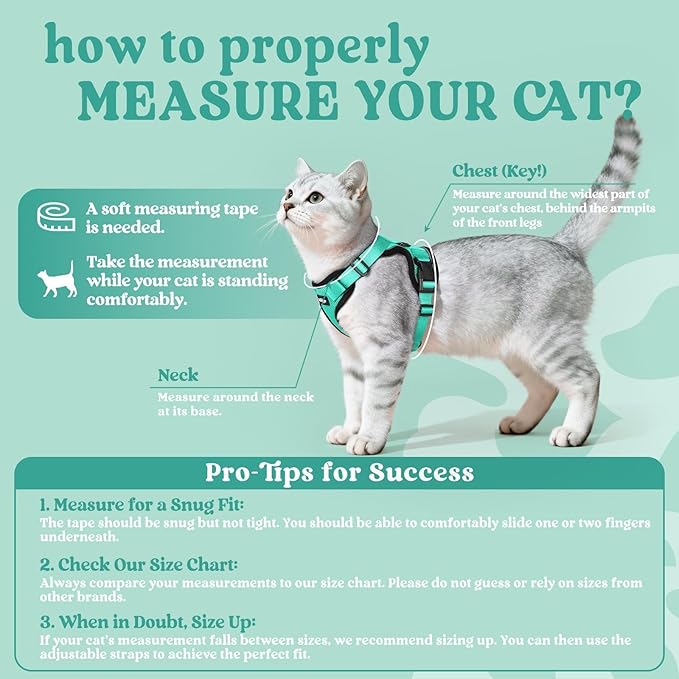 rabbitgoo Cat Harness and Leash - Image 2