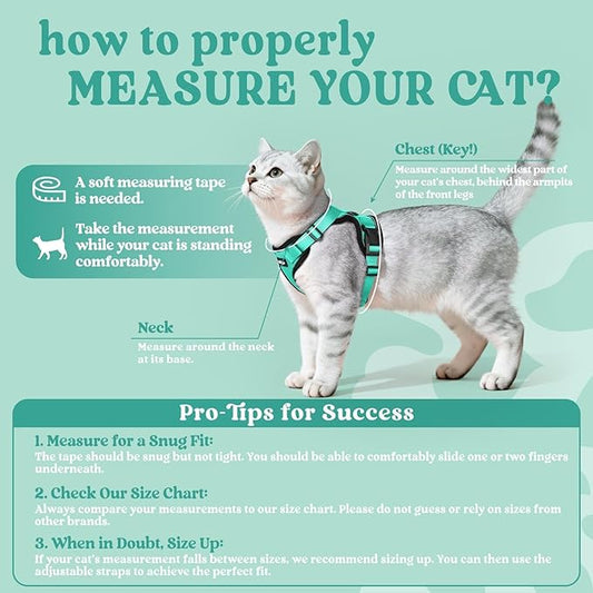 rabbitgoo Cat Harness and Leash - Image 2