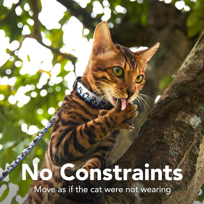 Cat Harness and Leash Set - Image 5