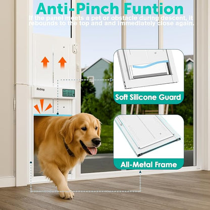 Automatic Sliding Glass Dog Door - Image 5