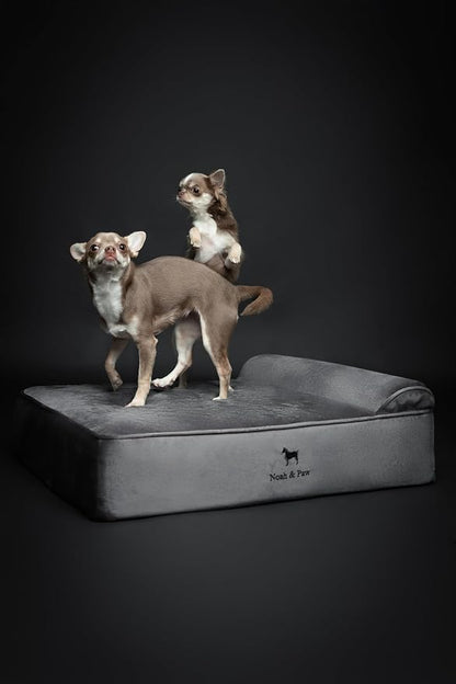 NOAH & PAW Dog Bed, Orthopedic Dog Beds - Image 3
