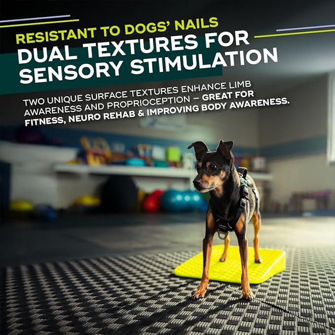 FitPAWS Balance Ramp | Dog Agility Equipment - Image 3