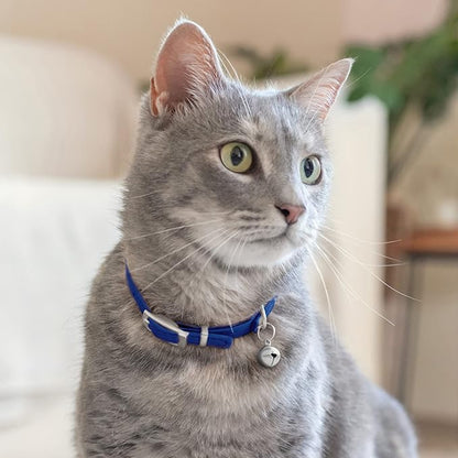 CollarDirect Leather Cat Collar, Kitten Collar - Image 6
