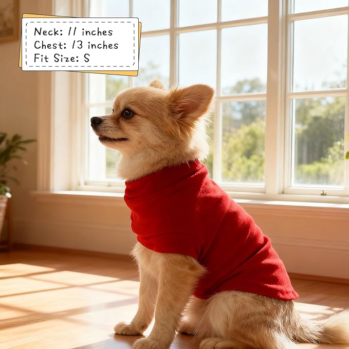 EXPAWLORER Soft Cat Sweater - Image 5