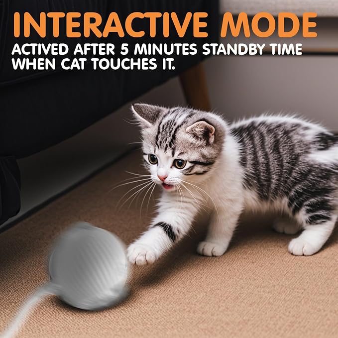 Rocfish Durable Interactive Cat Toys - Image 6