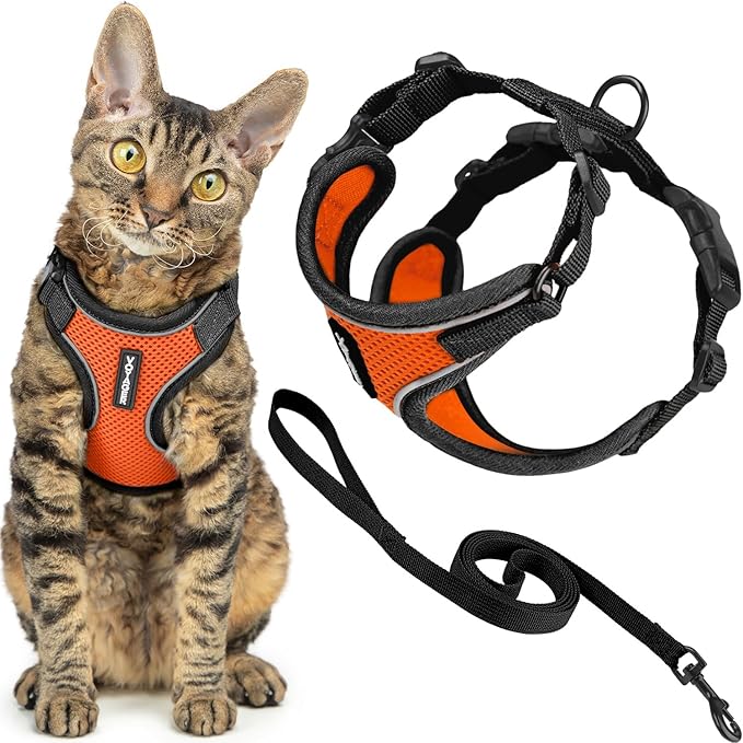 Voyager Escape-Proof Step-in Lock Cat Harness & 5ft Neoprene-Handle Leash Set by BestPetSuppliesLLC